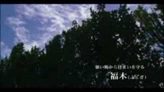 リリーベルおもろまちサーモス