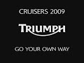 Triumph Cruiser 2009