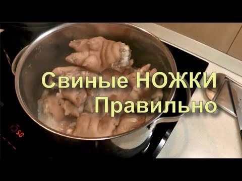 ✅ Свиные Ножки. Просто и Вкусно. Правильный Рецепт Отварные.