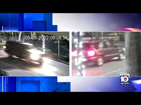 Detectives search for driver in fatal hit-and-run crash in Miami-Dade