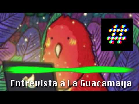 Entrevista a Guacamaya