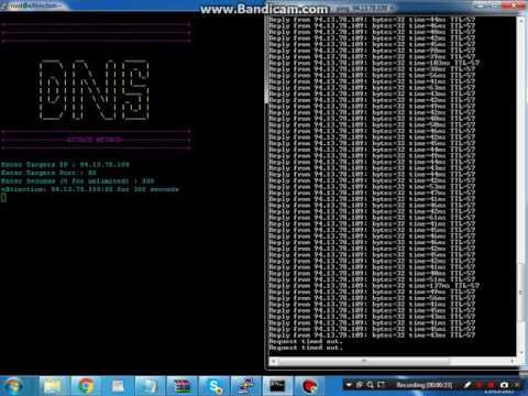 Perl Script Testing #2
