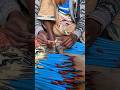 The extraordinary process of making paint brushes.!😱#viral #shorts #ytshorts