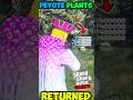 *RETURNED* GET 5,000 RP EVERY SECOND USING THE PEYOTE PLANTS IN GTA 5 ONLINE
