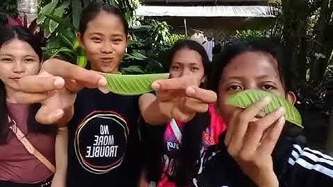 PERFORMANCE TASK 2: MY VLOG; PATTERNS IN NATURE