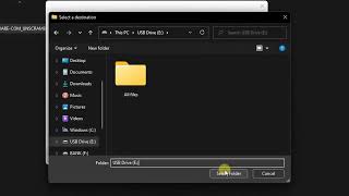 DTB FIRMWARE UNSCRAMBLER - Documentation and Usage Guide