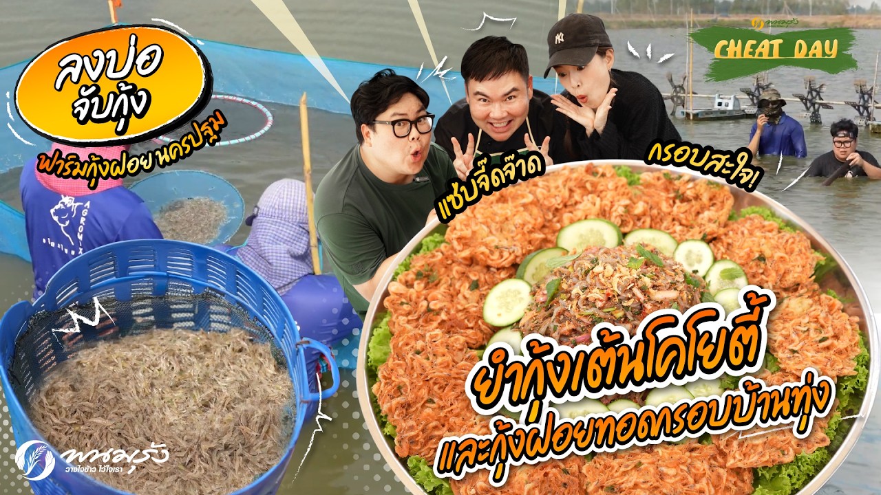 ชีทเดย์ EP.99 | ยำกุ้งเต้นโคโยตี้ และกุ้งฝอยทอดกรอบบ้านทุ่ง