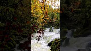 Top 10 Autumn Switzerland: Best Attractions #switzerland #swissalps #autumn