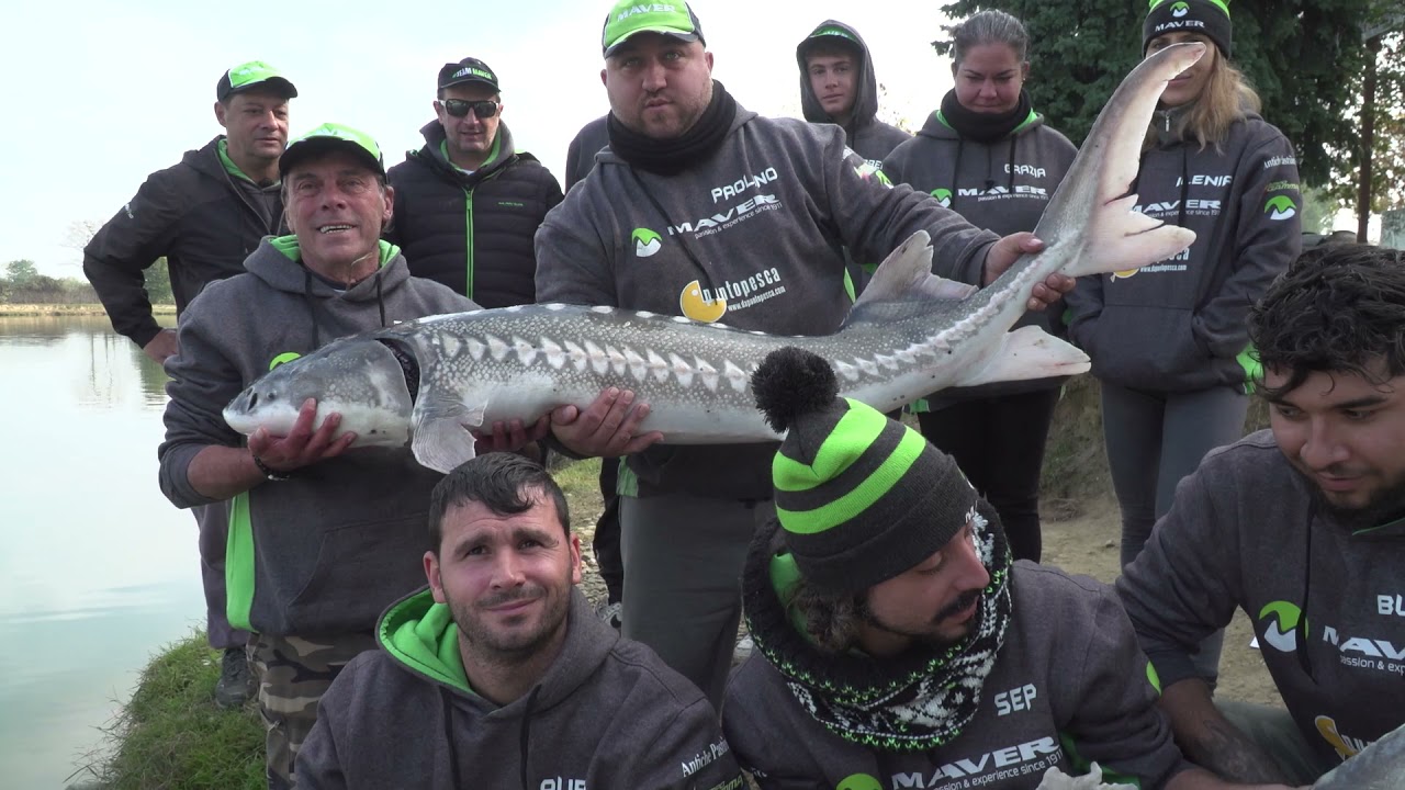 A pesca di STORIONI con la canna Maver Goblin Storione