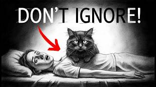 Never Ignore Your Cat When It Does This Its Serious