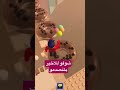 قصة البنت الي ماتت بسبب روبلوكس روبلوكس اعتني Fortnite اهميه اكسبلور ورك Gaming النظافه قصة البنت الي ماتت بسبب روبلوكس روبلوكس اعتني Fortnite اهميه اكسبلور ورك Gaming النظافه