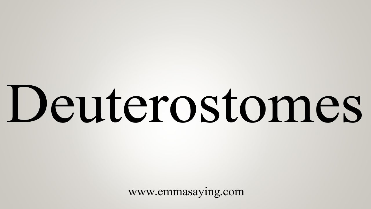 How To Pronounce Deuterostomes