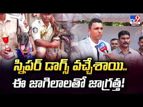 Explainer : స్నిపర్ డాగ్స్ వచ్చేశాయి.. ఈ జాగిలాలతో జాగ్రత్త!  | Vijayawada Sniper Dogs Arrive! -TV9 - TV9