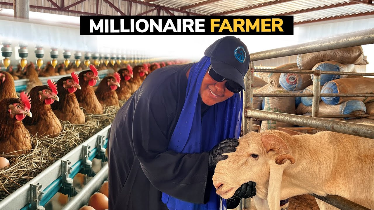 Эта нигерийская женщина за год превратила ферму в многомиллионный бизнес.