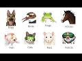 How Every Animal See The World Explained