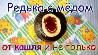 редька с мёдом, уникальная настойка от кашля,выводит вредный холестерин редька с мёдом, уникальная настойка от кашля,выводит вредный холестерин