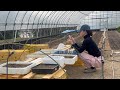 失敗続きの春 / 畑で都会の疲れを癒そう【耕さない農業】