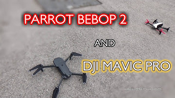 Parrot Bebop 2 and Dji Mavic Pro hanging around