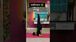 सर्वांगासन 🌿 #latasyogaclasses #thyroid #advancedyoga#