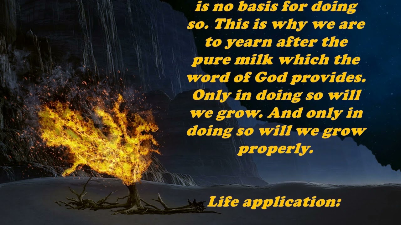 Daily Bible Verse Commentary  -  1 Peter 2:2