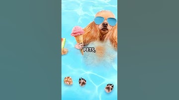 10 Seconds Without Gravity: The Ultimate What-If! #shortvideo #science #facts