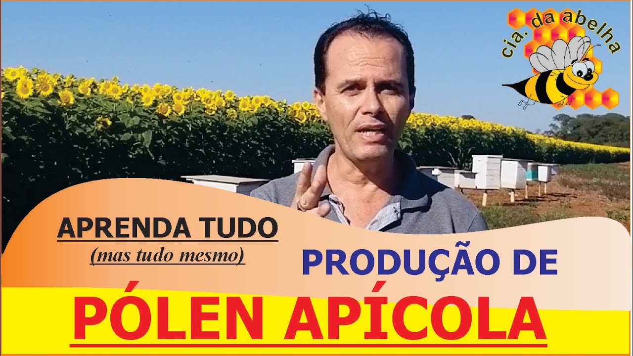 APRENDA TUDO (mas tudo meeesmo) SOBRE O MANEJO CORRETO NAS COLMÉIAS PARA PRODUÇÃO DE PÓLEN APÍCOLA