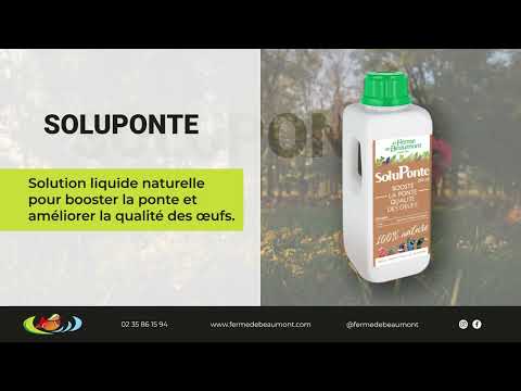 Soluponte de la Ferme de Beaumont - Booste la ponte et la qualité des oeufs #poule #œufs