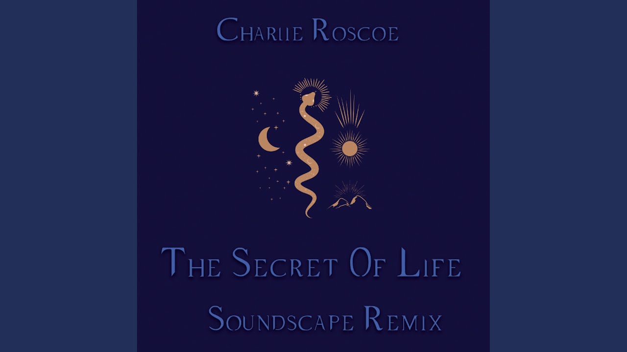 The Secret Of Life (Soundscape Remix)