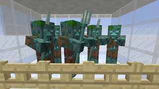 18W11A Drowned Facts Zombie Villager Sorter