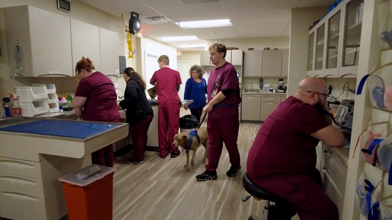 Katie Takes A Trip To Dover To Check Out The Brand New Forrest Avenue