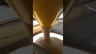 DSH SYSTEMS truck loading - Slovenia