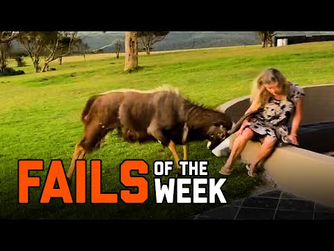 Back To Nature | Fails of the Week (February 2021)