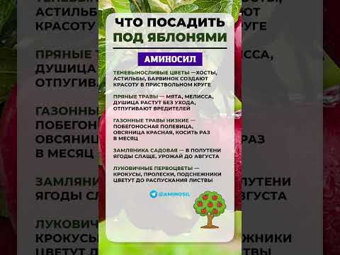 ПОД ЯБЛОНЕЙ пусто? Ты теряешь КРАСОТУ и ПОЛЬЗУ! #сад #яблоня #огород