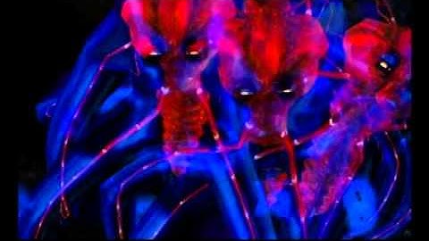 Metroid Prime PAL 100% 1:23 Speedrun part 17