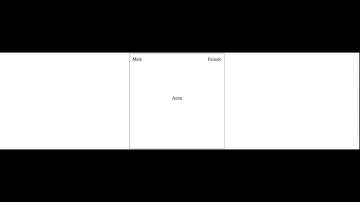 Example IAT Video mp4