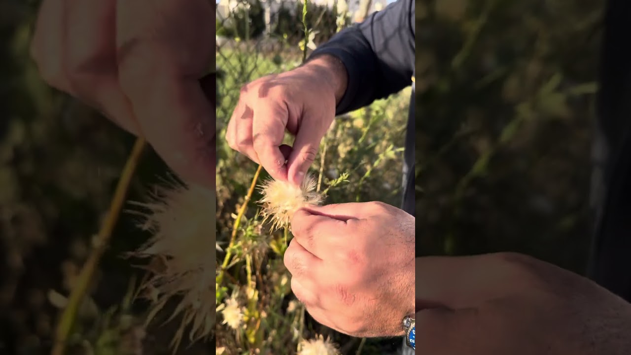 علاج الشرايين على جنب الشوارع