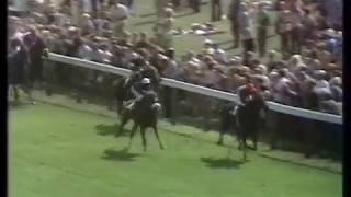 1976 Benson and Hedges Gold Cup