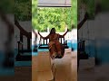 #instagramreels#trending#reels#nature #vacation#news#rain#mumbai#monsoon#youtubeshorts#love#feed#fyp