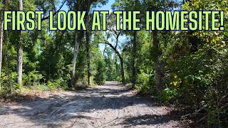 Florida Jungle to Future Homestead — First Look at Our Newly Cleared Land