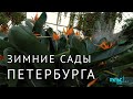 Тропики и субтропики в зимнем Петербурге