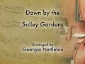 Down by the Salley Gardens violin harmony arrangement with sheet music