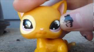 LPS Vlog of bored randomness Episode 1, backyard tour