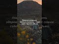 Самопознании и развитии  #ambition #adventure #development #dreams #travel #1million  #приключения