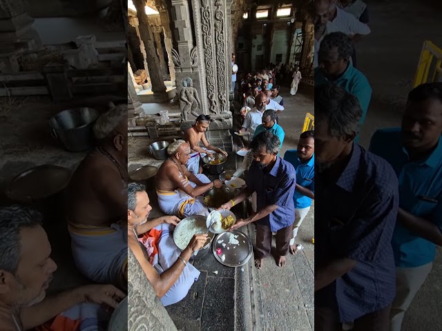 #Prasadam #Distribution 27.4.24 #Thillai #Sri #Natarajar #Temple #Deekshithars #Shorts #Reels class=