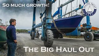 The Big Haul Out - Sailing Yacht Zora - Episode 45