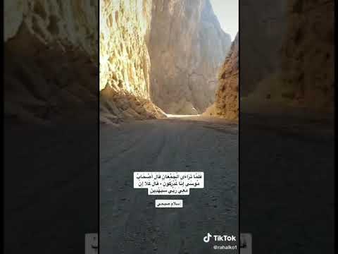 فلما تراءى الجمعان قال أصحاب موسى إنا لمدركون اسلام صبحي تبوك عصى موسى طيب اسم رحالكو Rahalko