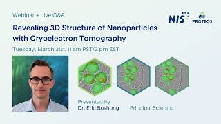 Revealing 3D Structure of Nanoparticles with Cryo-electron Tomography