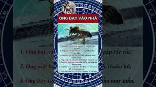 Gái Xinh Nhất Hành Tinh Tiết Lộ Bí Mật Phong Thủy Vận Mệnh Thay Đổi Sức Khỏe Sắc Đẹp Thăng Hoa