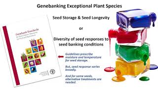 Seed Storage and Seed Longevity
Dr. Christina Walters presents seed preservation research, focusing on exceptional species. Dr. Walters discusses the effects of moisture and temperature on the longevity of stored papaya seeds, providing insight into the behavior of intermediate seeds.
This presentation was given at the Virtual Global Symposium and Workshop on Conserving Exceptional Plants. The symposium was hosted by the Cincinnati Zoo and Botanical Garden in 2021 and is published here with their permission.
Funding for this video was provided by USDA-NIFA-Higher Education Challenge Grant (2020-70003-303930), with additional support from Colorado State University and USDA-Agricultural Research Service. USDA is an equal opportunity provider, employer, lender. Seed Storage and Seed Longevity