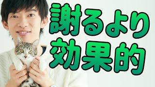 仲直りする時 謝るよりも効果的なこと とは の動画が最高 他のyoutubeの動画も合わせてご紹介 流行りの面白い 動画をyoutubeからキュレーション 仲直りする時 謝るよりも効果的なこと とは の動画が最高 他のyoutubeの動画も合わせてご紹介 流行りの面白い 動画をyoutubeからキュレーション